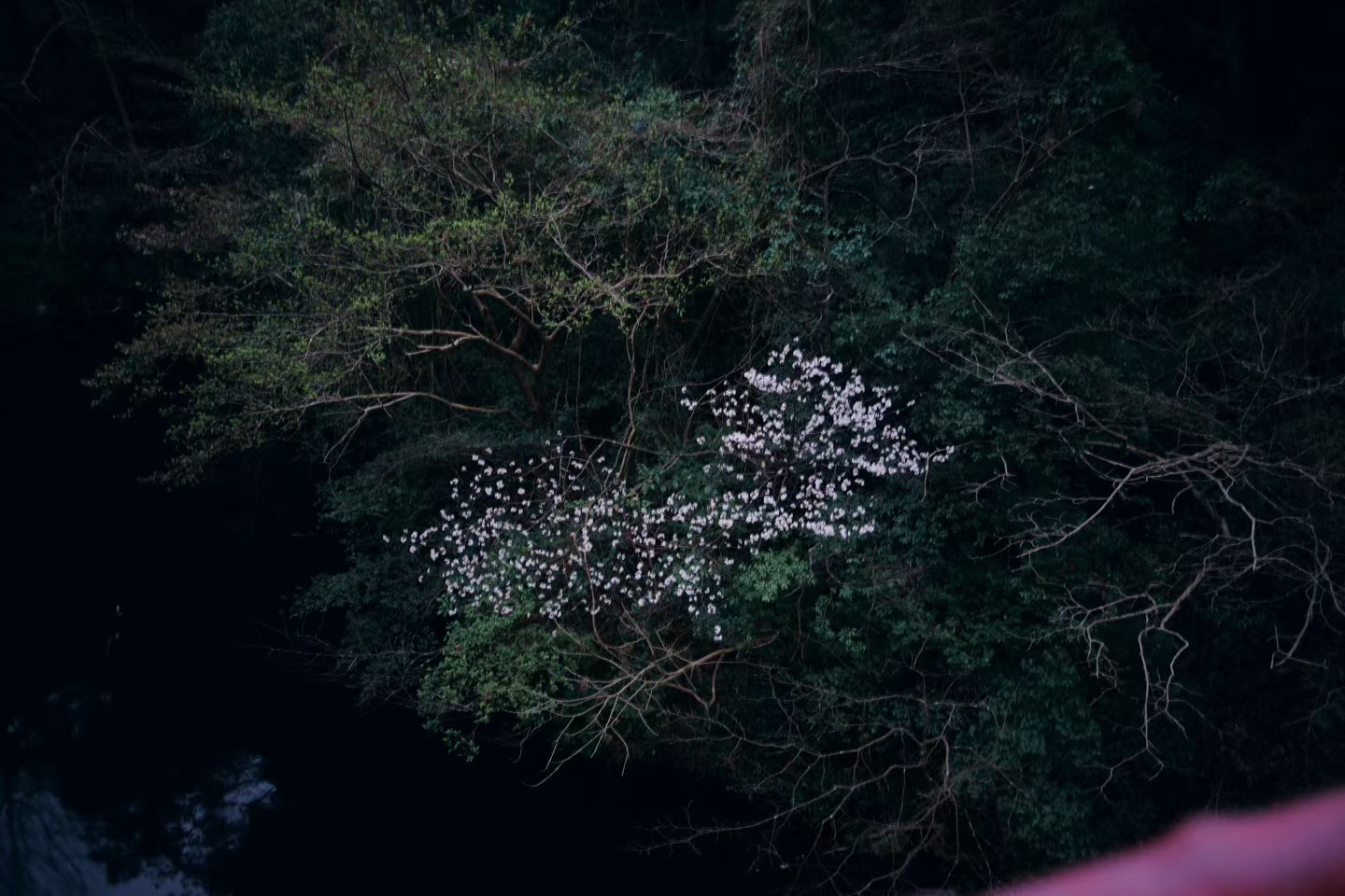 7b1b8832c17b0a1ed05b6f8f38a691c