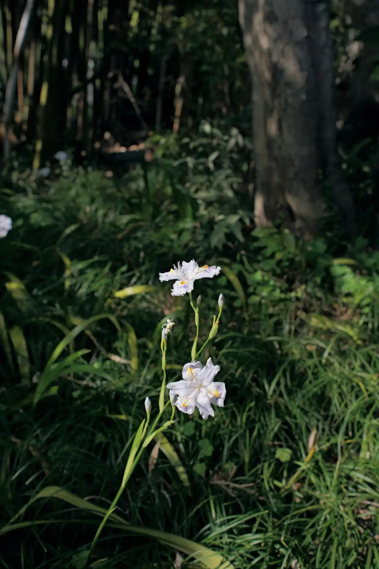 f2cff250afae97eac752338ae6cdf2f